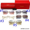 T1R86K16 Popular Sunglasses