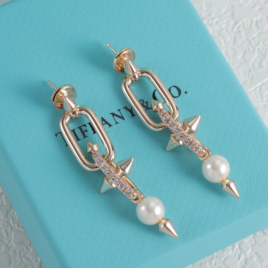X1Z95T83E Popular Earrings