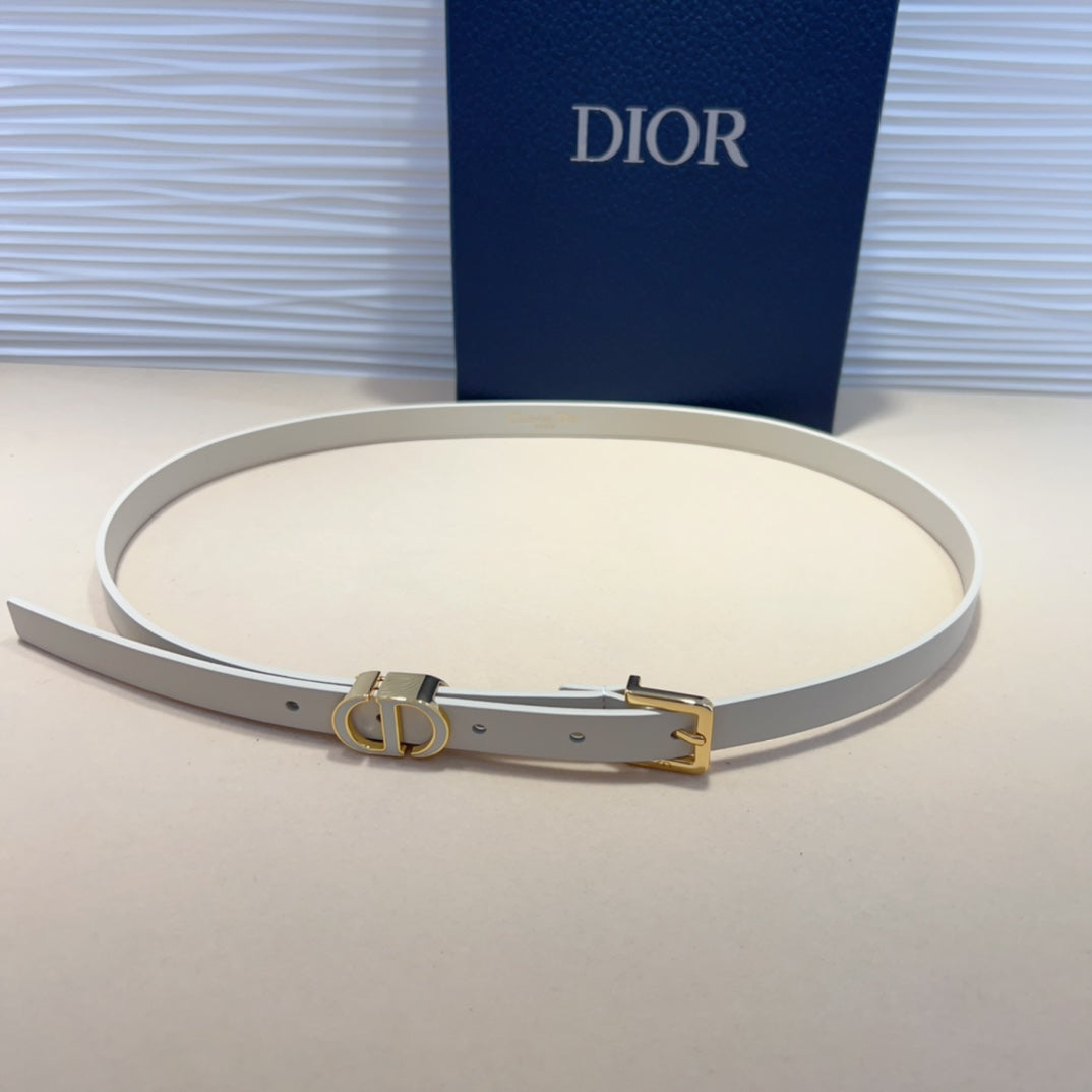 P1W15D181 Popular   High quality belt With full package