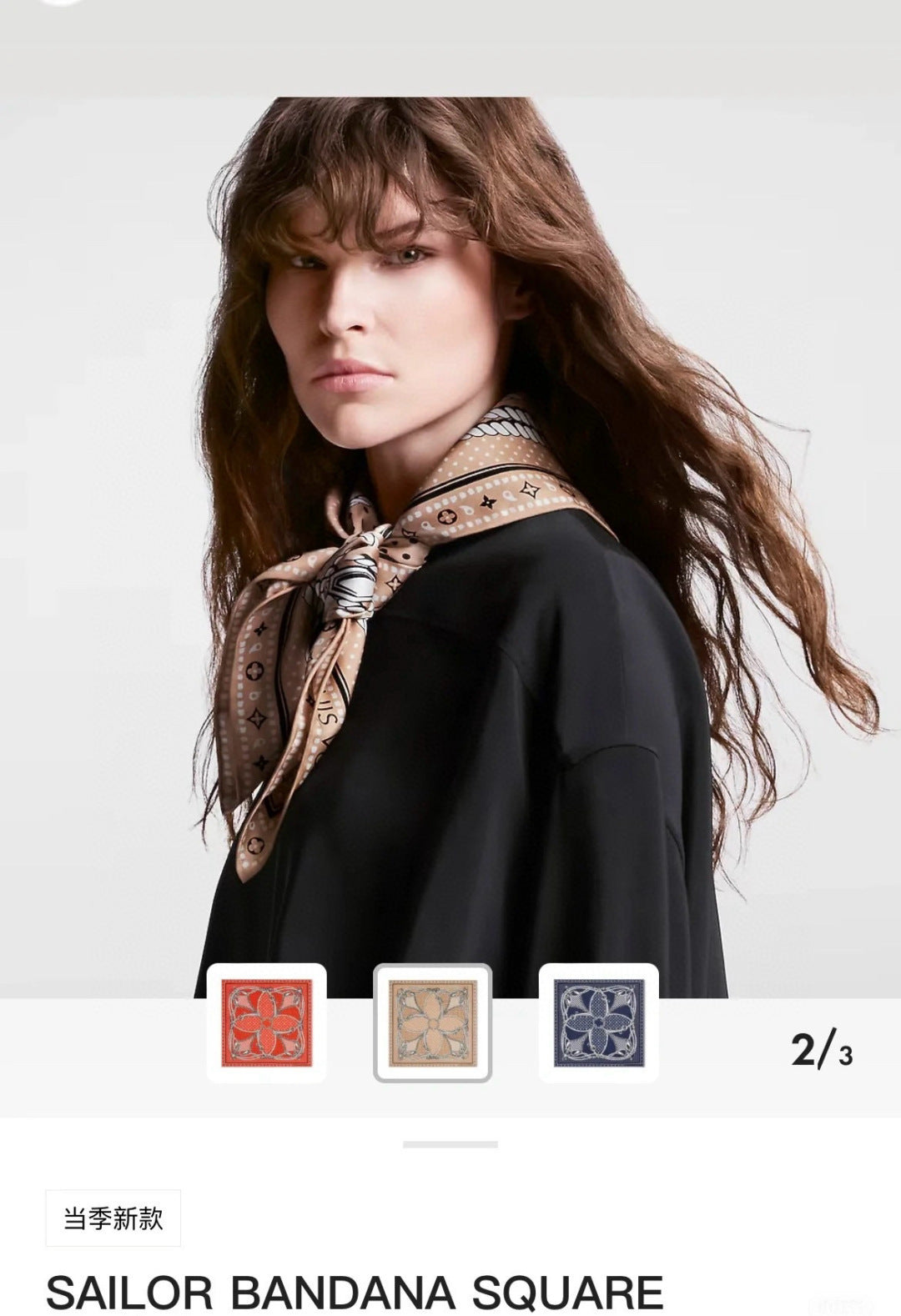 W1N46E29 Popular Silk Scarve