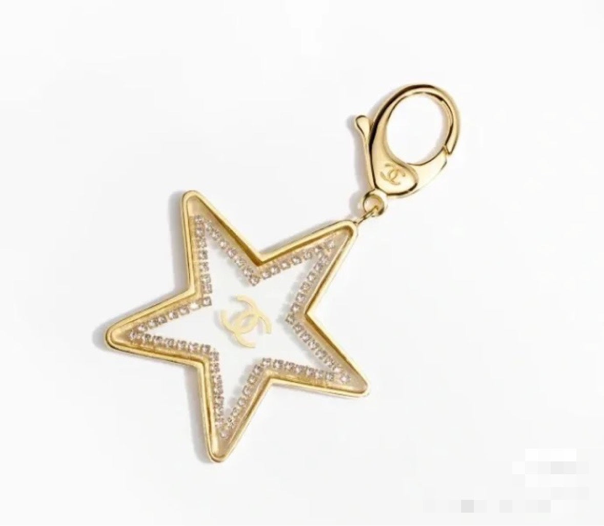 A1Z105C51 Popular bag 's charms accessories