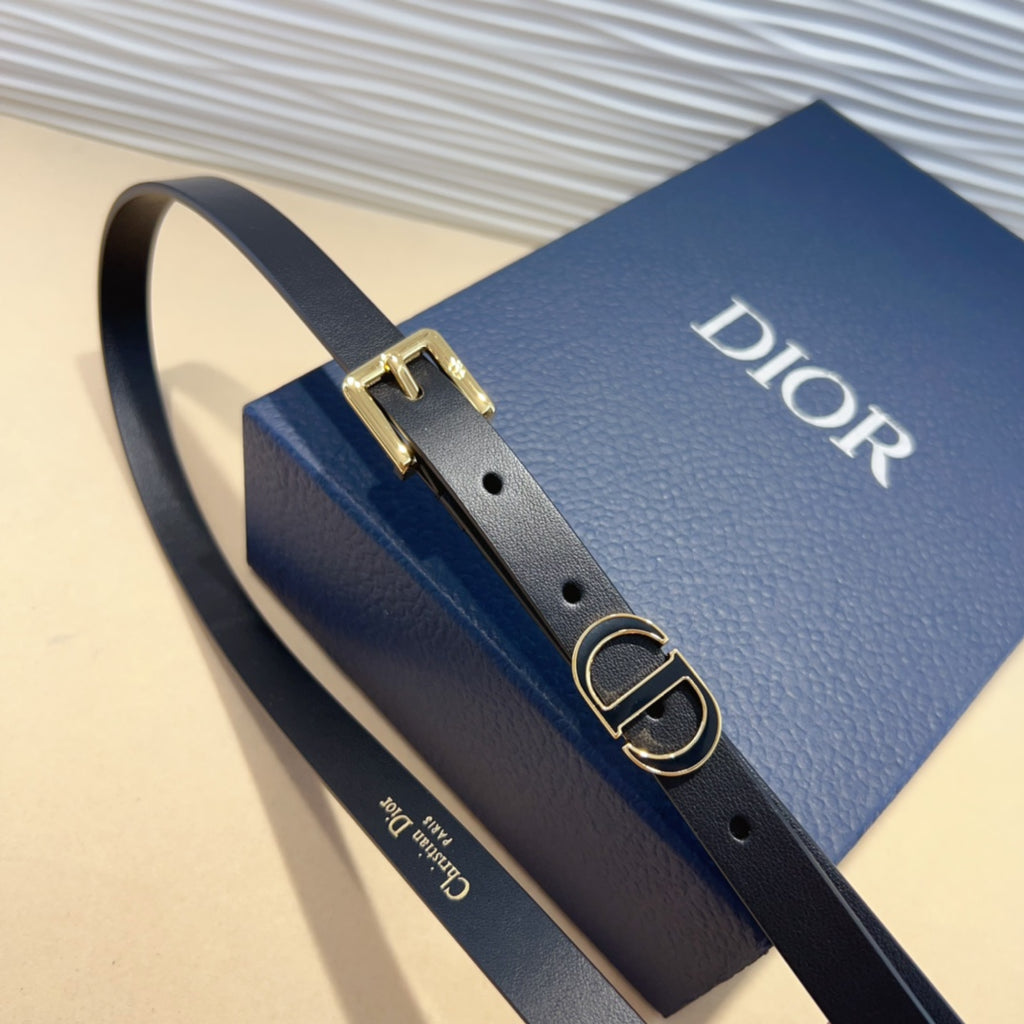 P1W15D181 Popular   High quality belt With full package