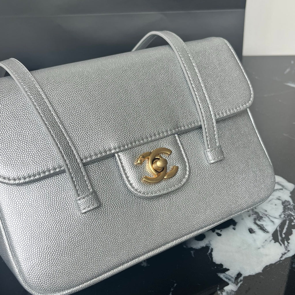 B1X46C1 Popular leather bag