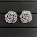 X1Z94C620E Popular  Earrings