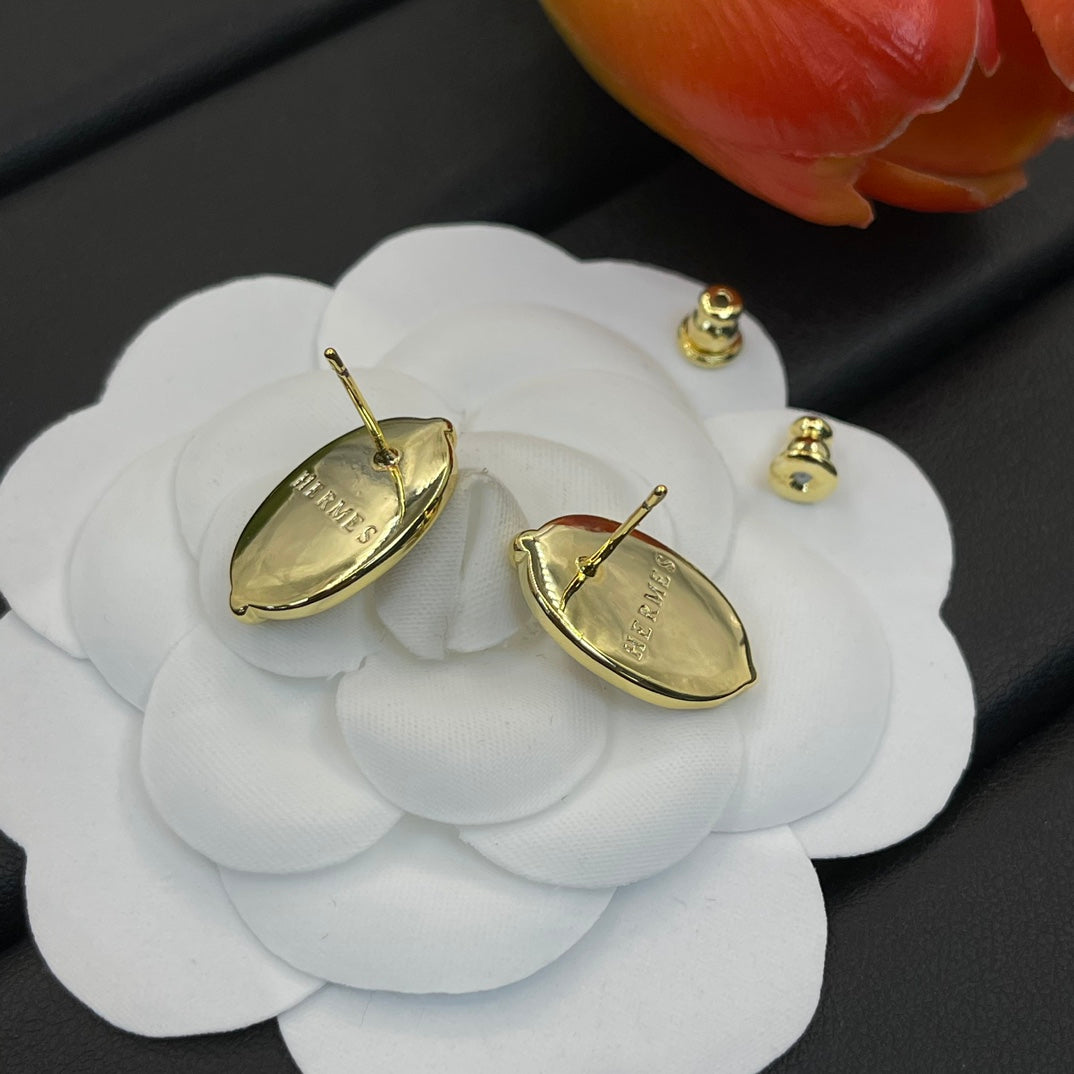 X1Z94H613E Popular  Earrings