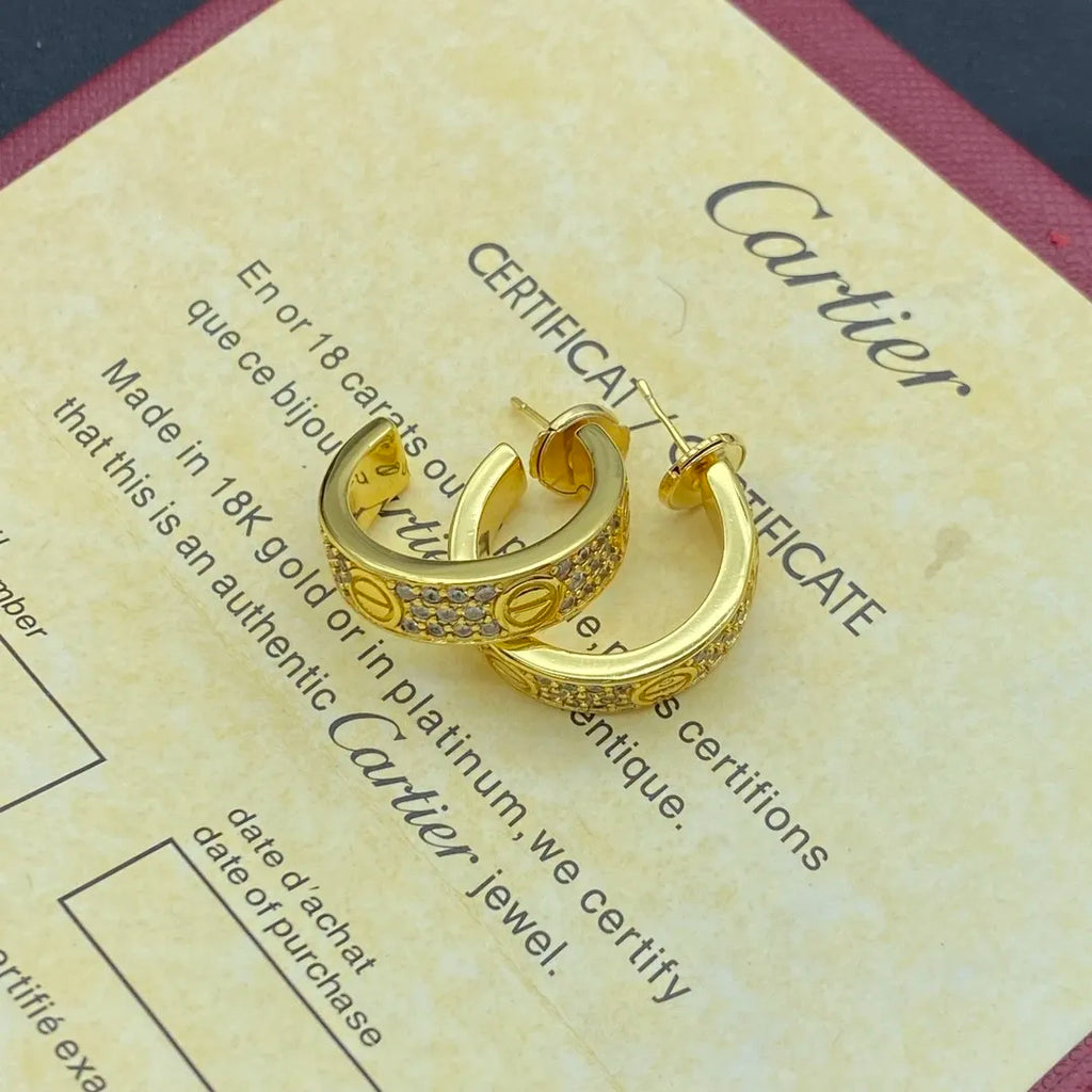 X1Z94K878E Popular  Earrings
