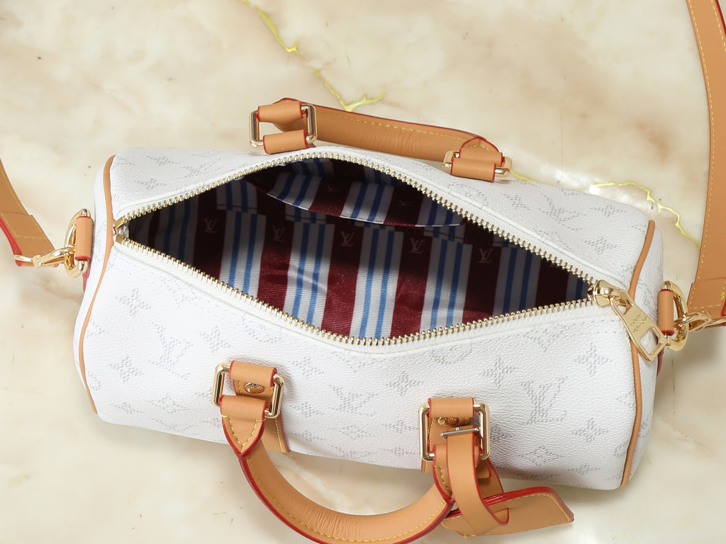B1R76E53 Popular leather bag