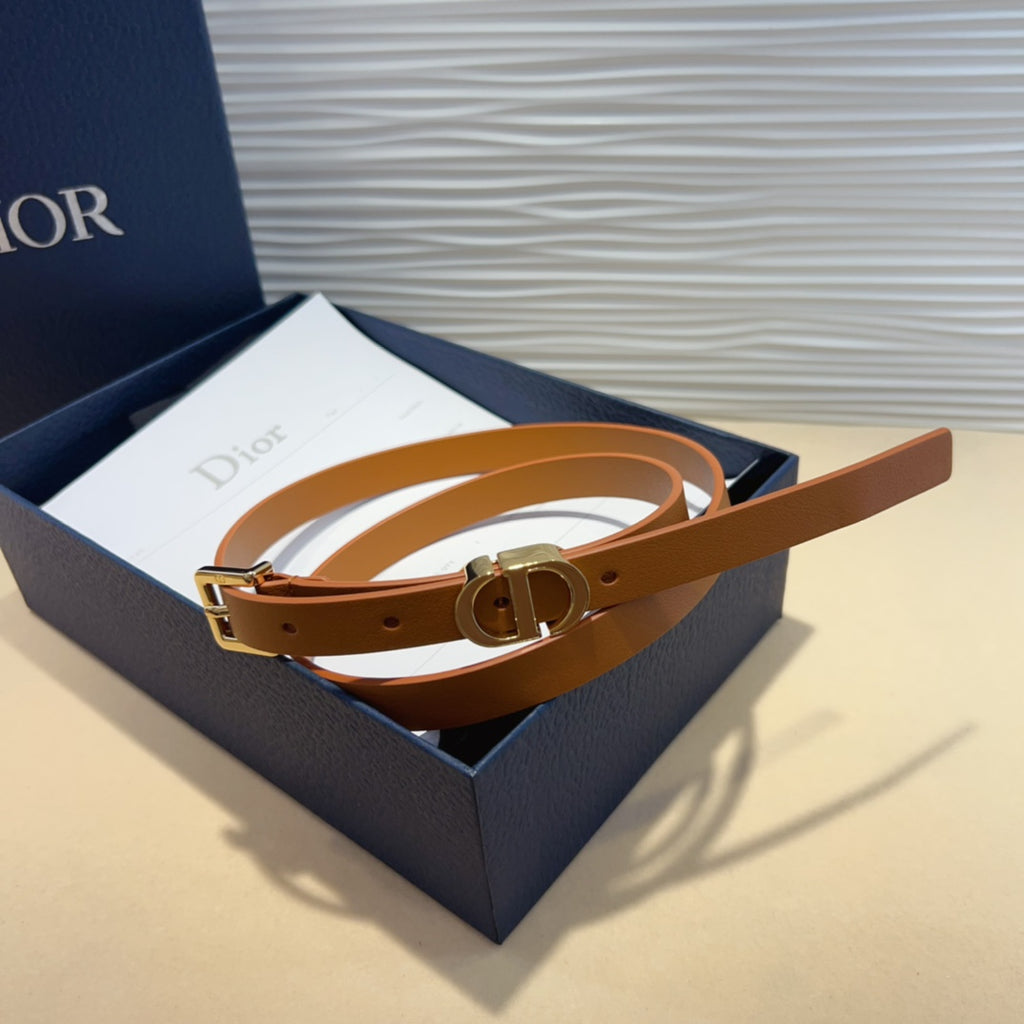 P1W15D181 Popular   High quality belt With full package