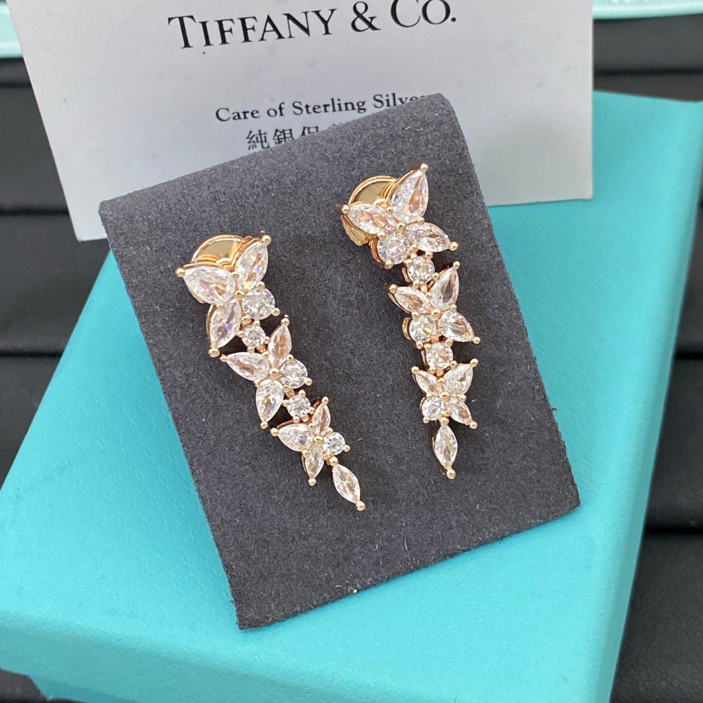 X1Z95T38E Popular Earrings