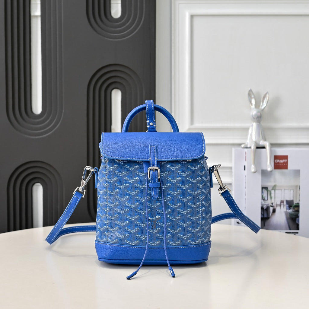 B1W35A105 Popular bag