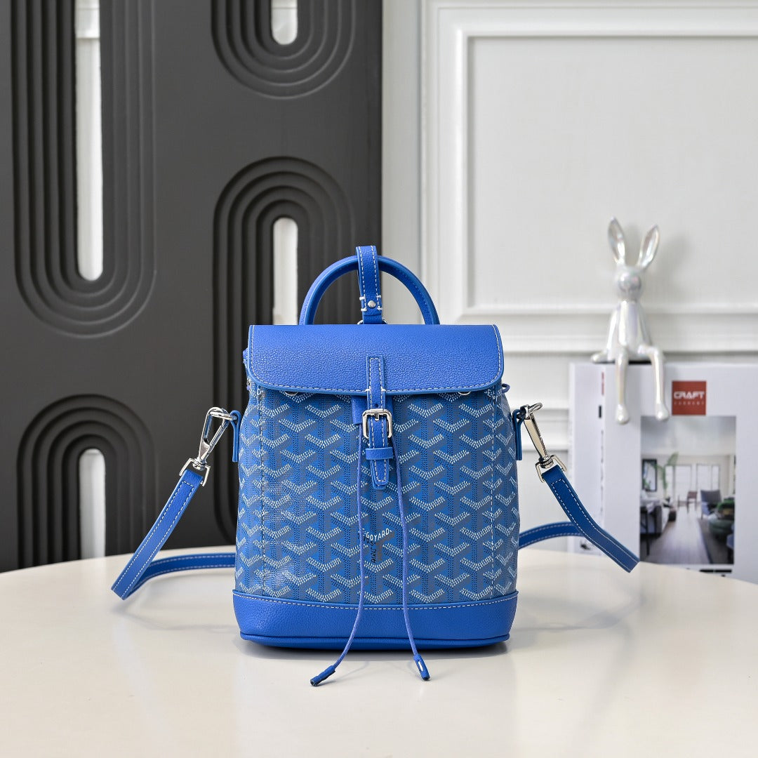 B1W35A105 Popular bag