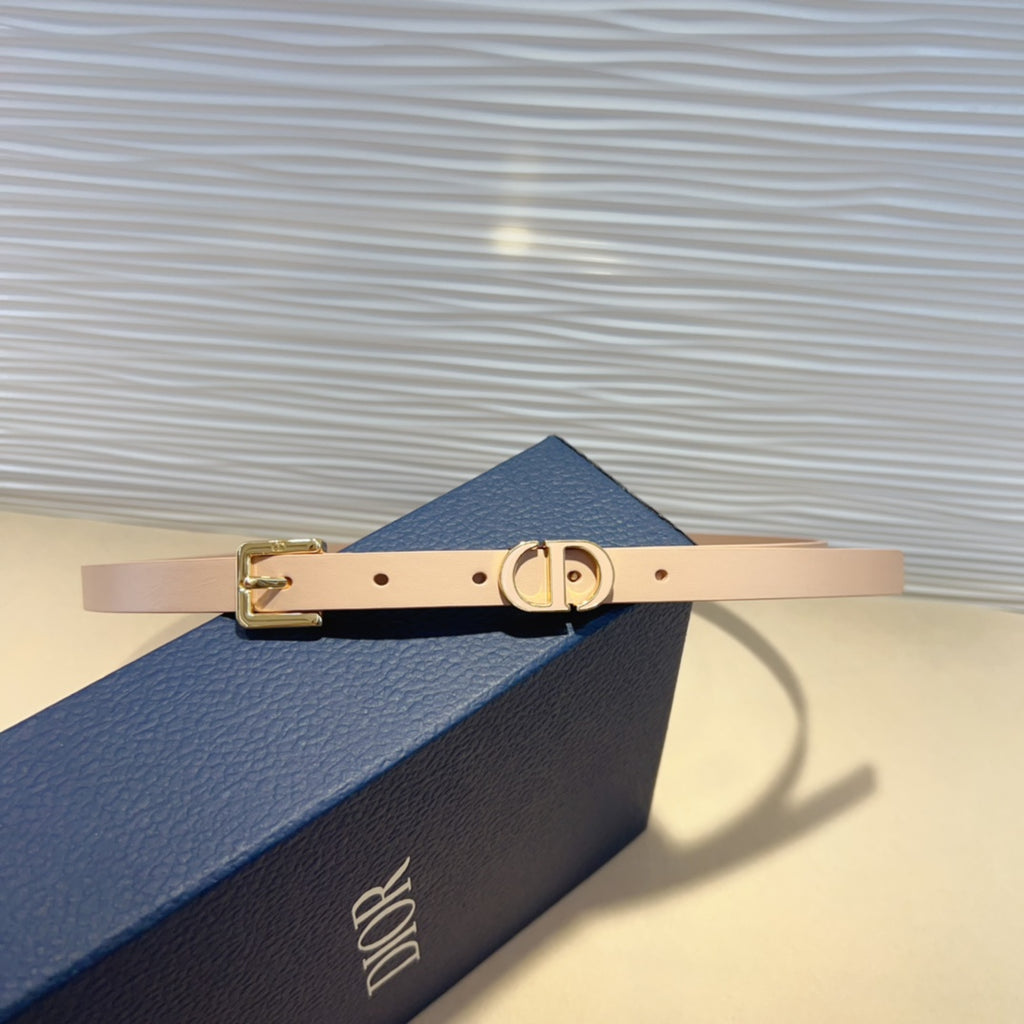 P1W15D181 Popular   High quality belt With full package
