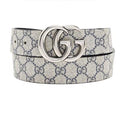 P2R66B3 Popular High quality belt（With full package）