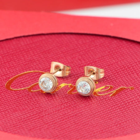 X2B70K17E Popular   Earrings