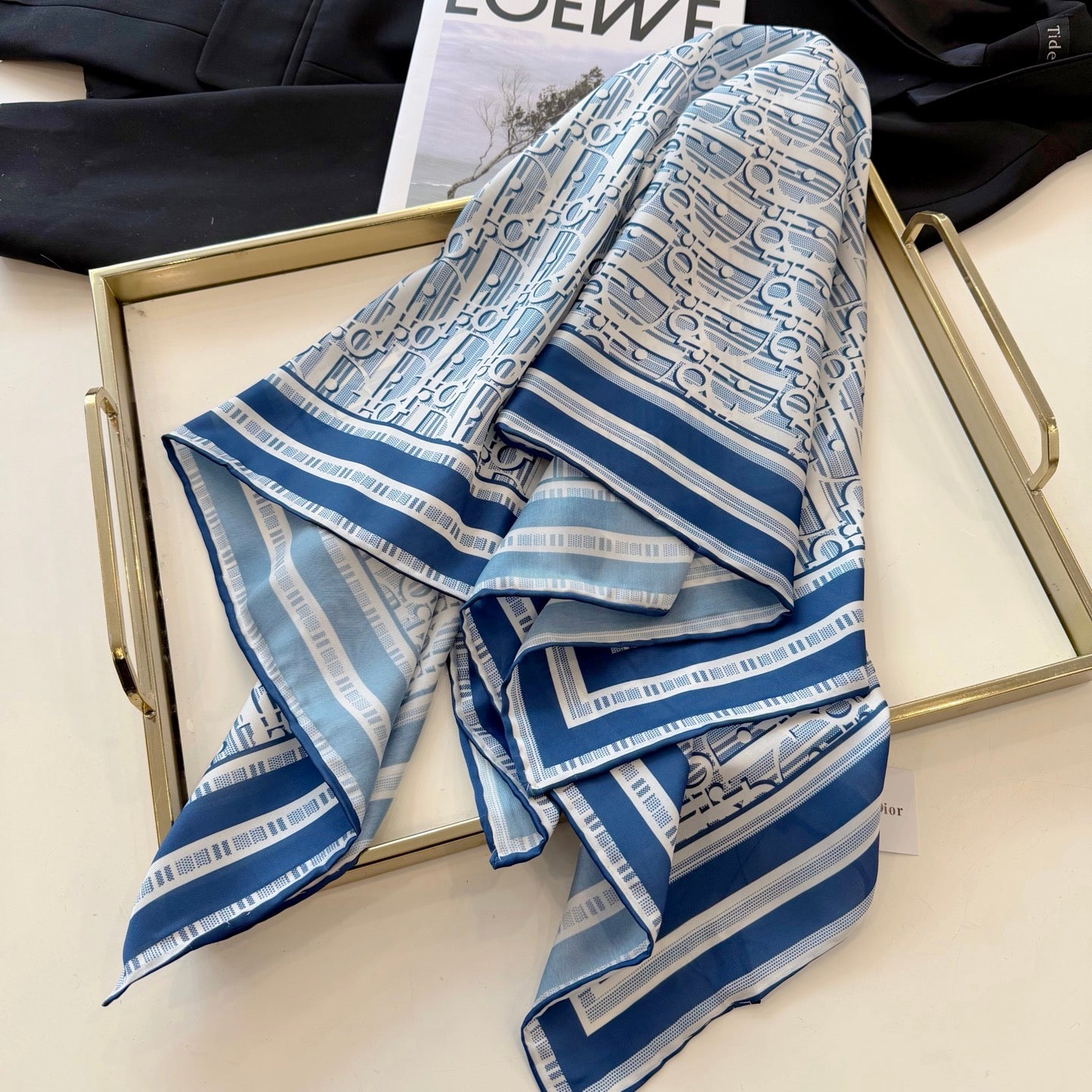 W1N46D11 Popular Silk Scarve