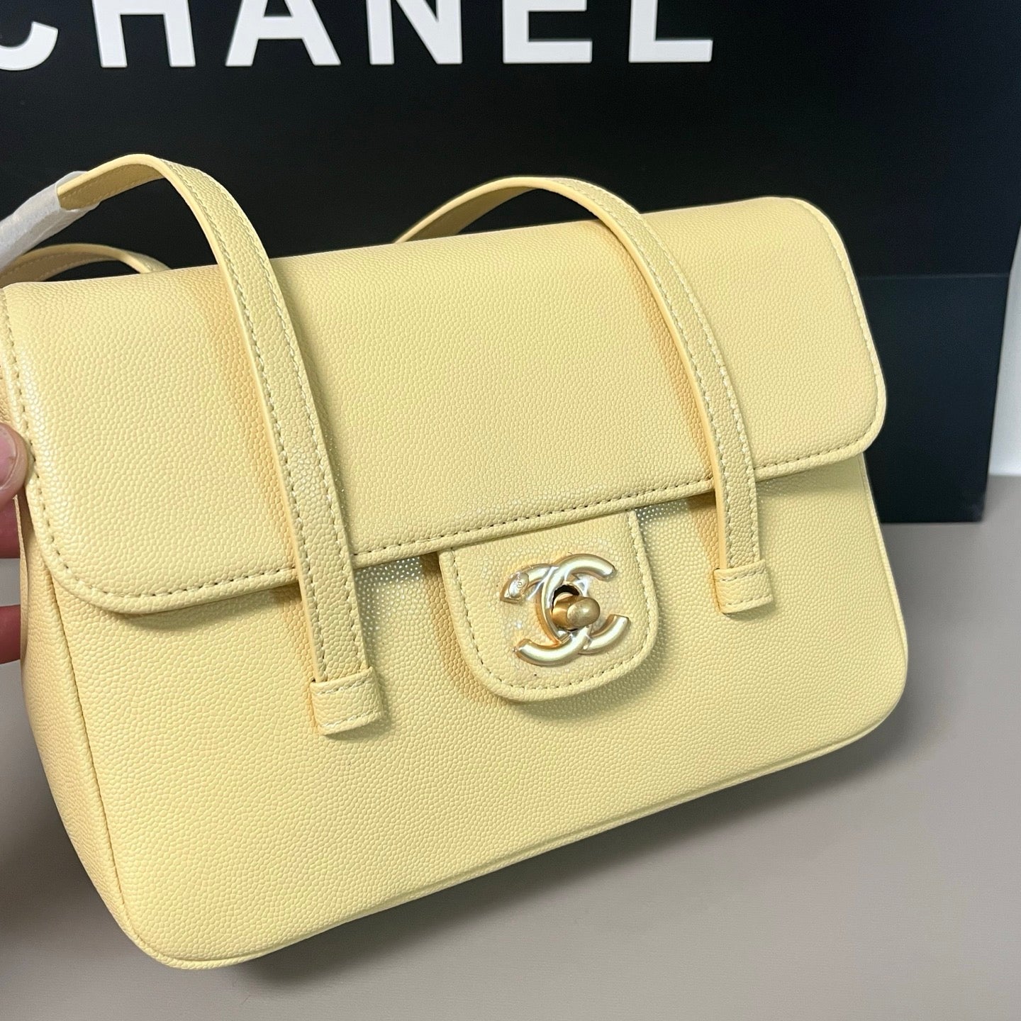 B1X46C1 Popular leather bag