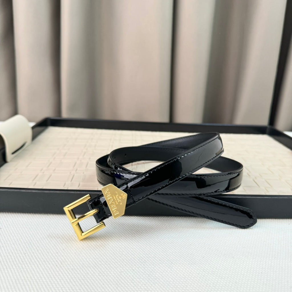 P1P64D29  Popular    High quality belt With full package