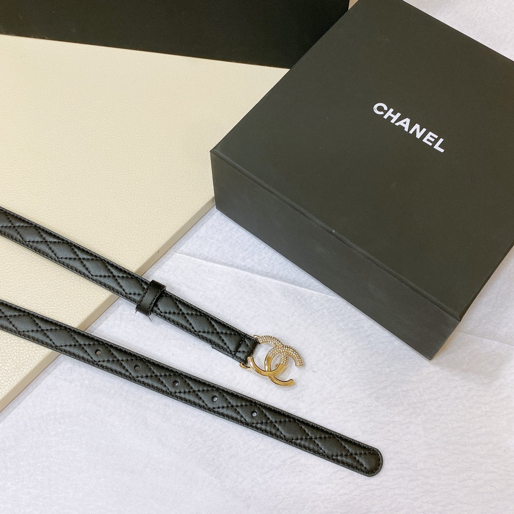 P1R15C152 Popular   High quality belt With full package