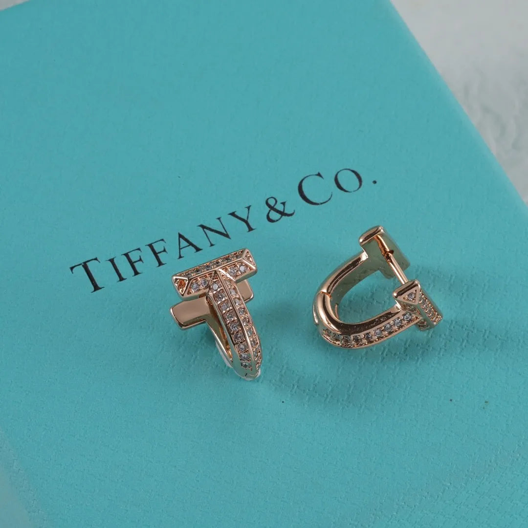 X1N95T2E  Popular Earrings