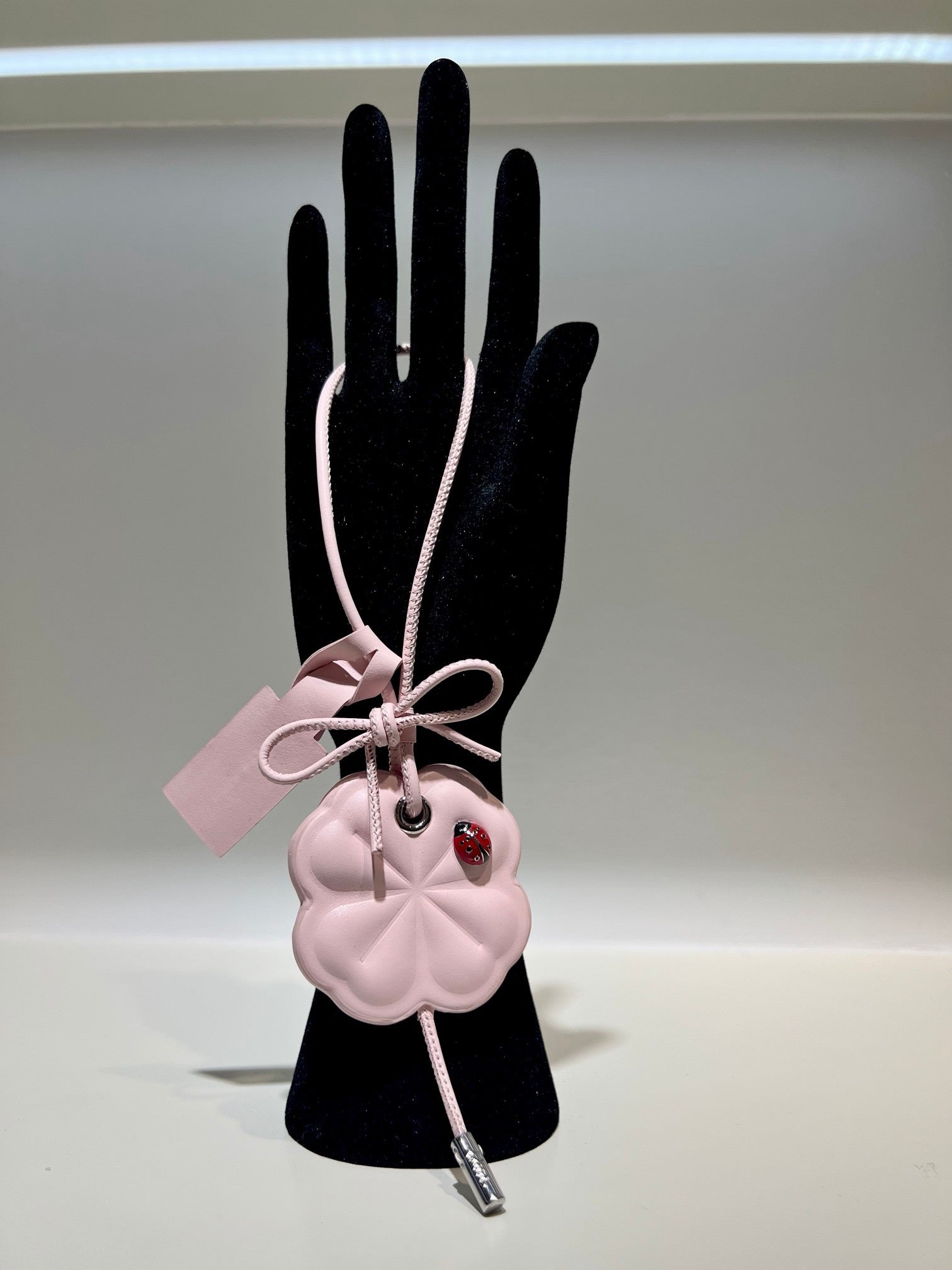 A1R76D110 Popular bag 's charms accessories