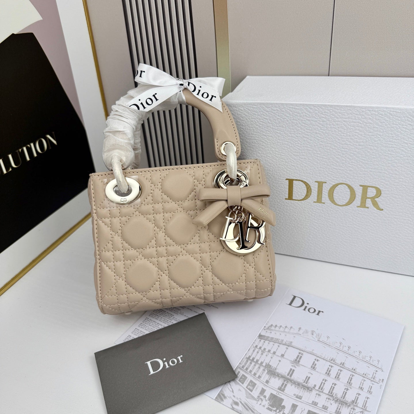 B1R66D1 Popular leather bag