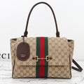 B1N66B10 Popular bag