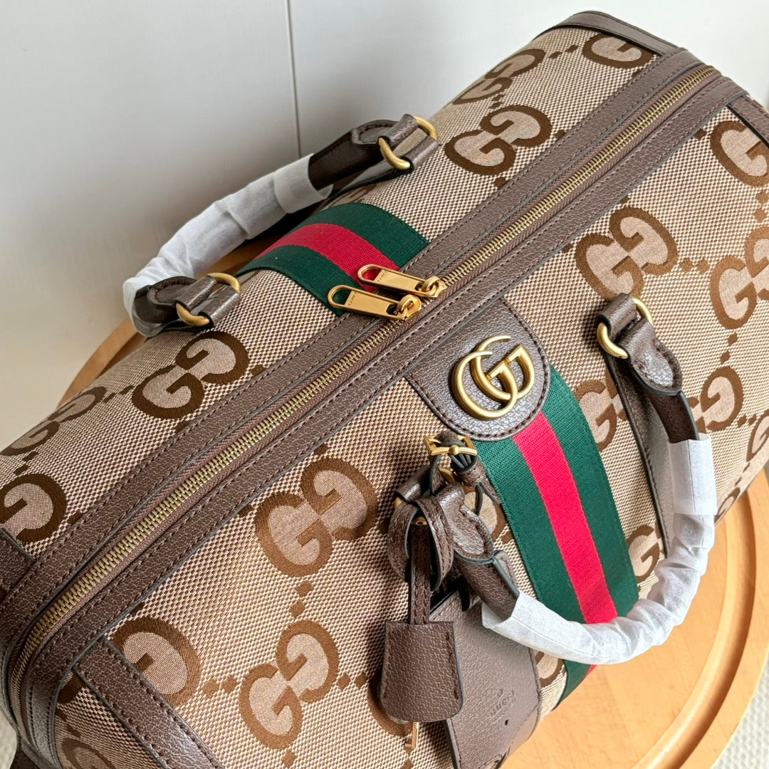 B1N66B11 Popular Luggage bags