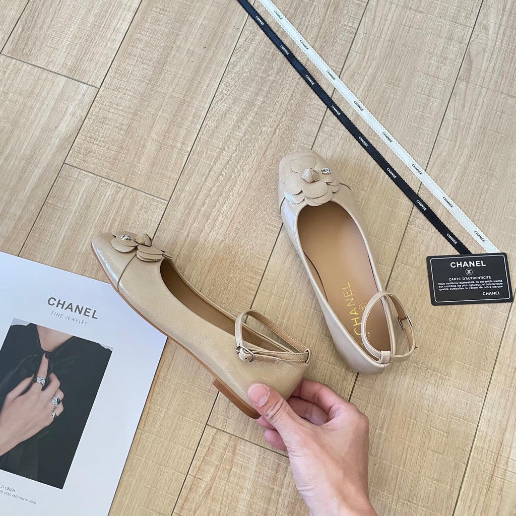 Z1Q105C348 Popular  Shoes