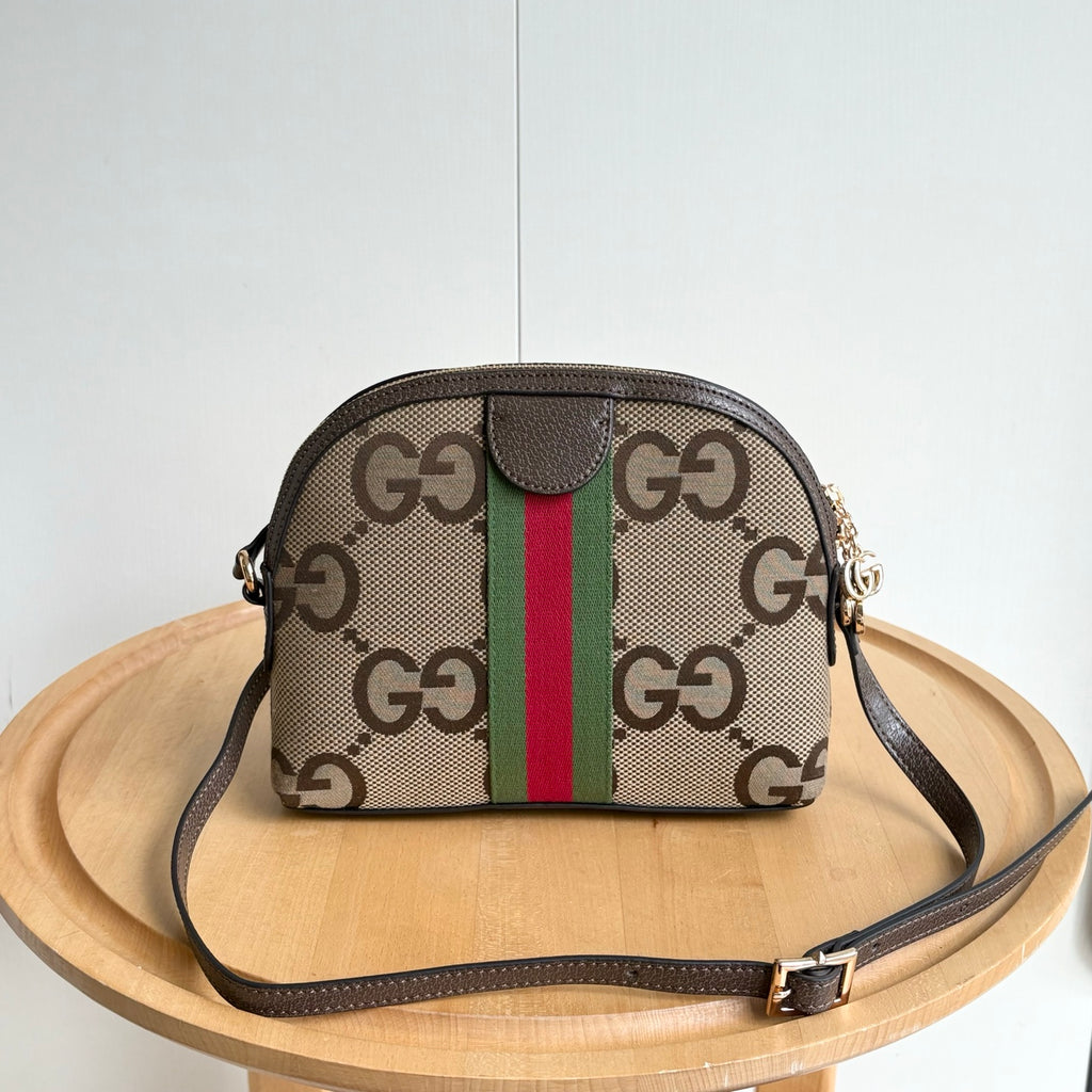 B1R15B126 Popular bag