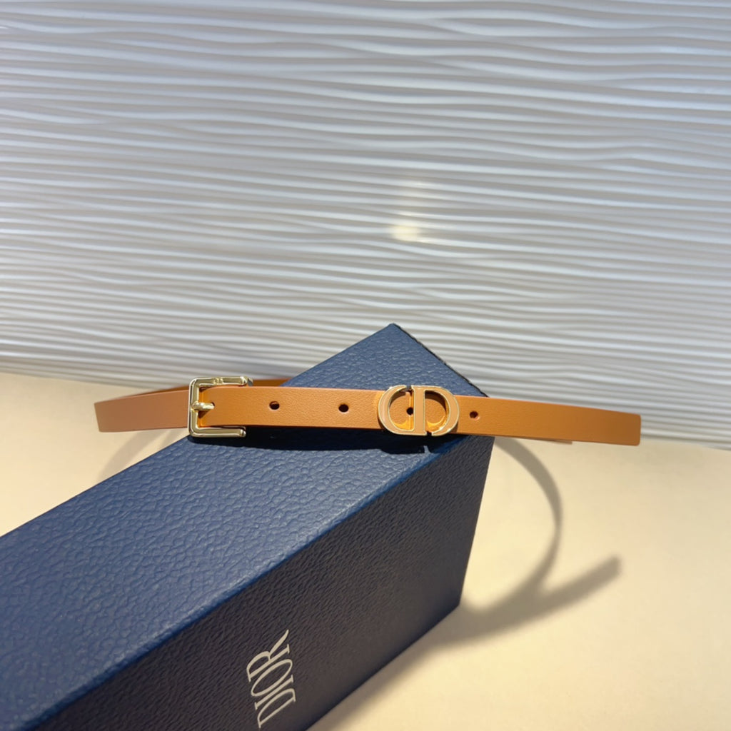 P1W15D181 Popular   High quality belt With full package