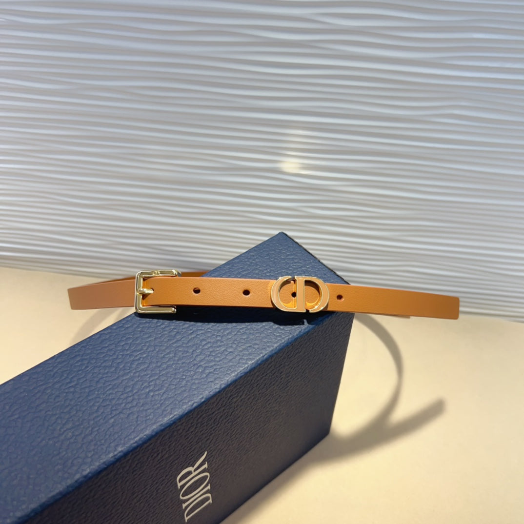 P1W15D181 Popular   High quality belt With full package