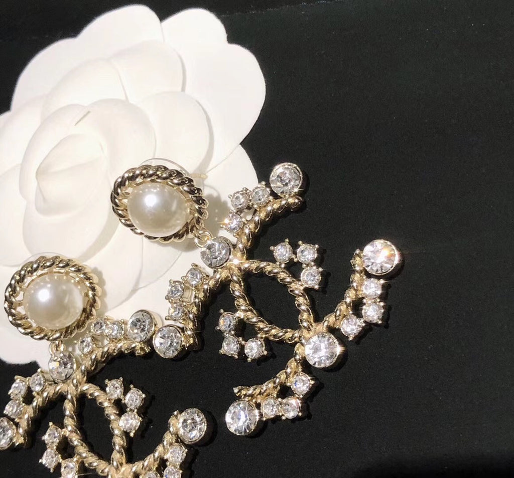 X1N36C46E Popular Earrings