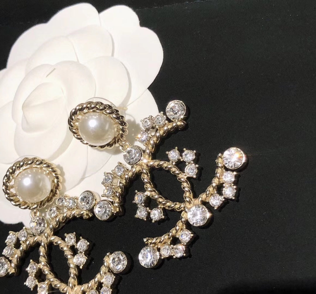 X1N36C46E Popular Earrings