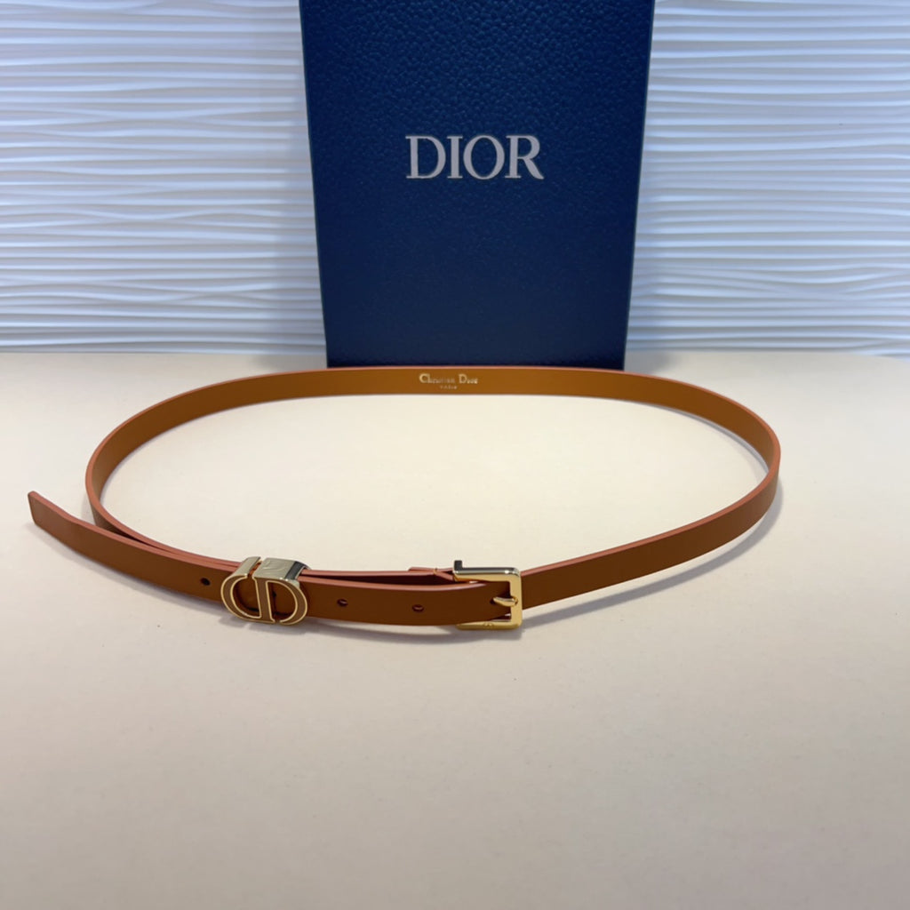 P1W15D181 Popular   High quality belt With full package