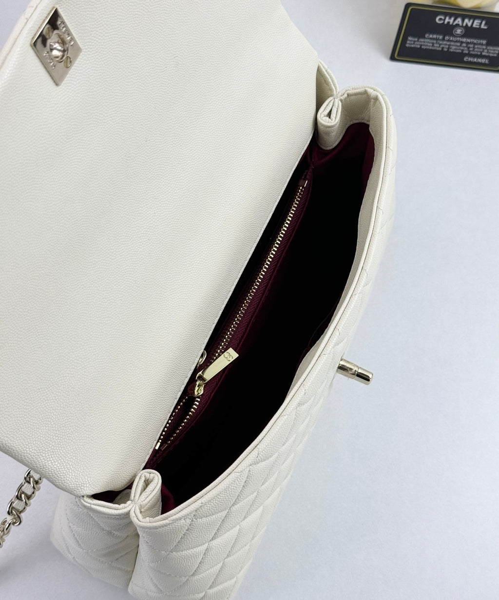B1N55C24 Popular    Purse bags