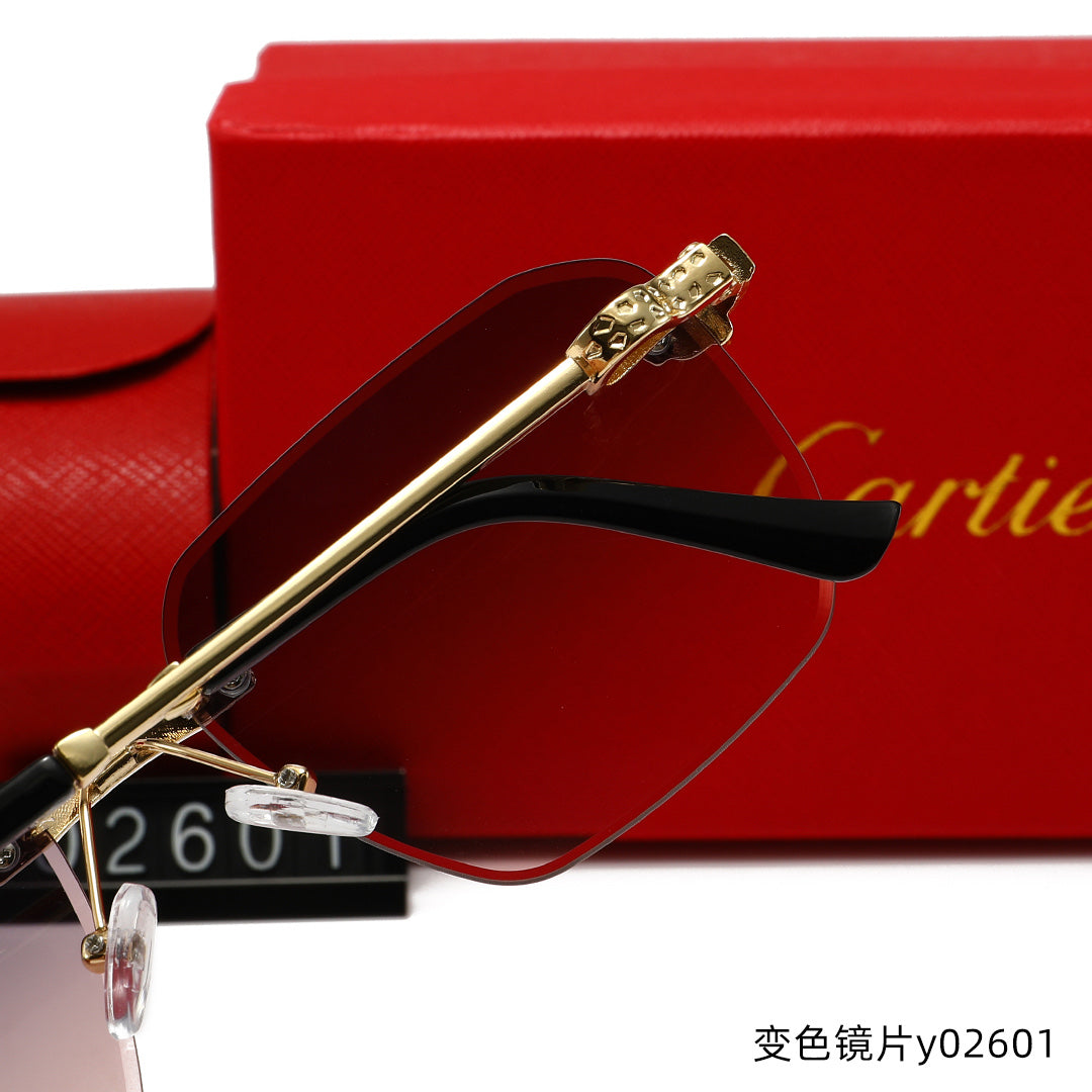 T1R86K13 Popular Sunglasses