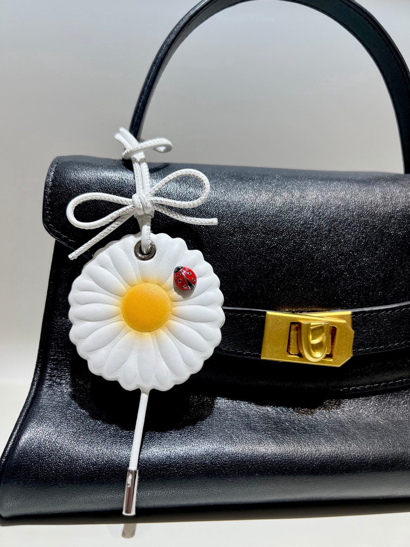 A1R76D110 Popular bag 's charms accessories