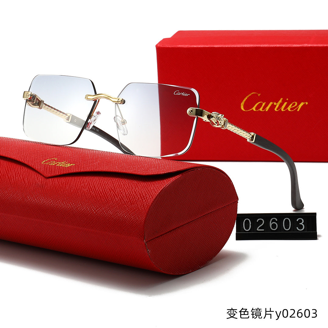 T1R86K12 Popular Sunglasses