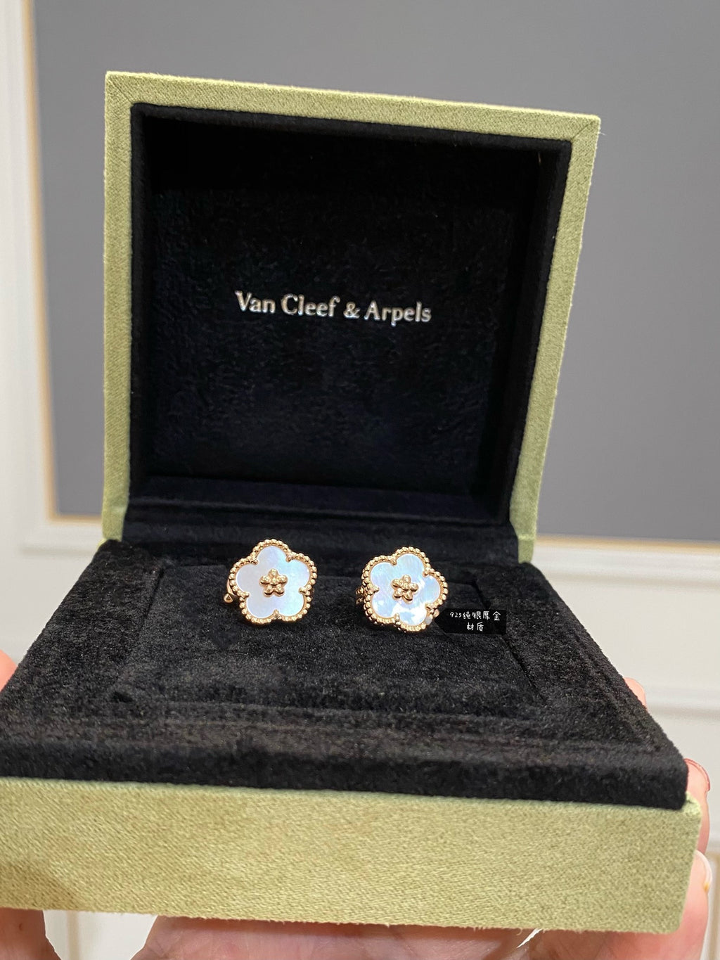 X5Z95VA21E Popular Earrings
