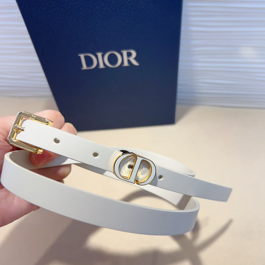 P1W15D181 Popular   High quality belt With full package