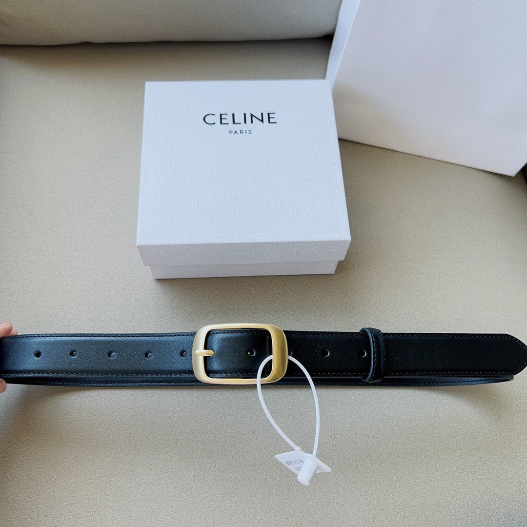 P1W15N180 Popular   High quality belt With full package