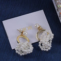 X1Z94D1020E Popular Earrings