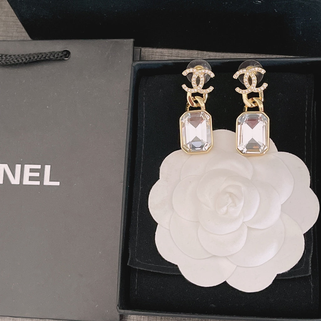 X1Z54C341E Popular  Earrings