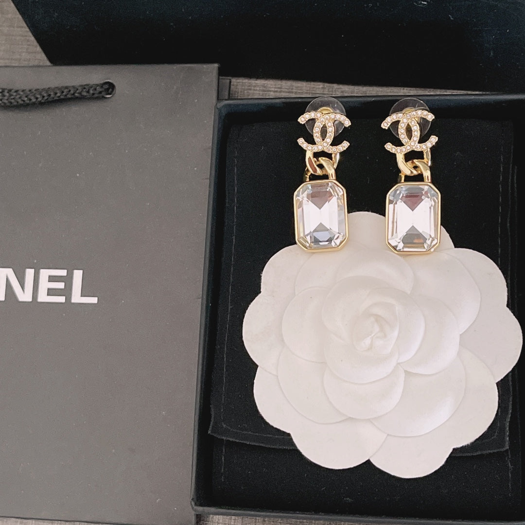 X1Z54C341E Popular  Earrings