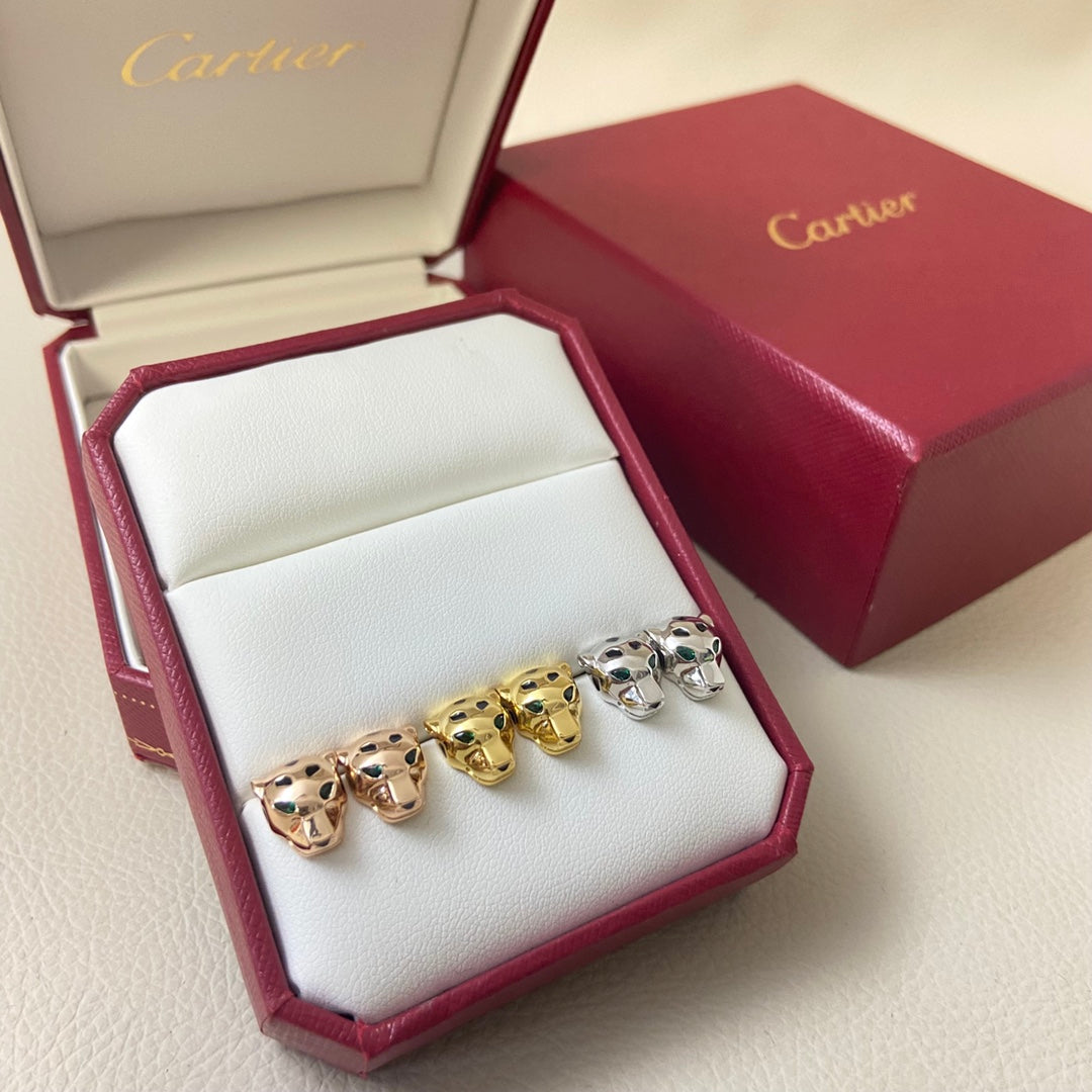 X5N56K26E Popular Earrings