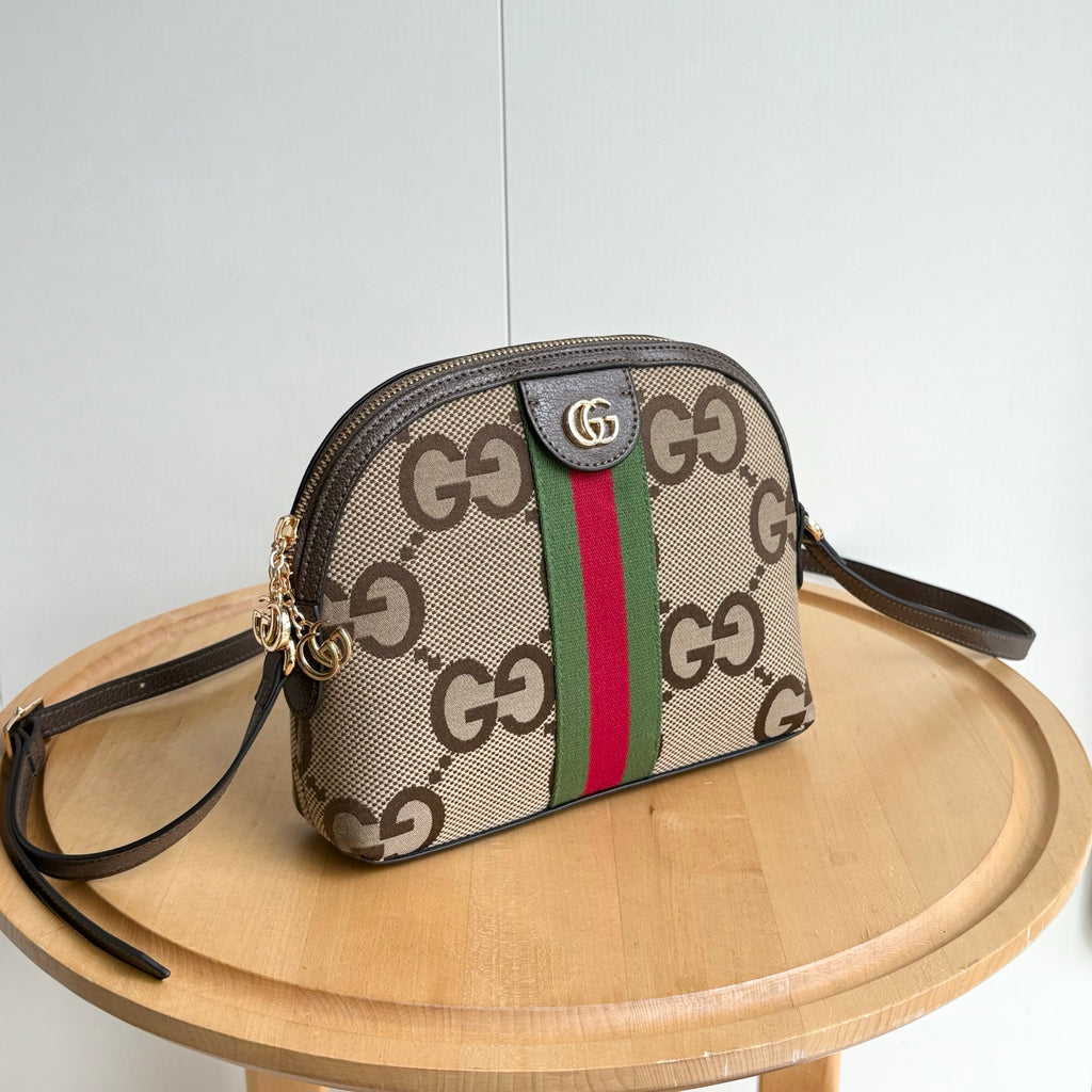 B1R15B126 Popular bag