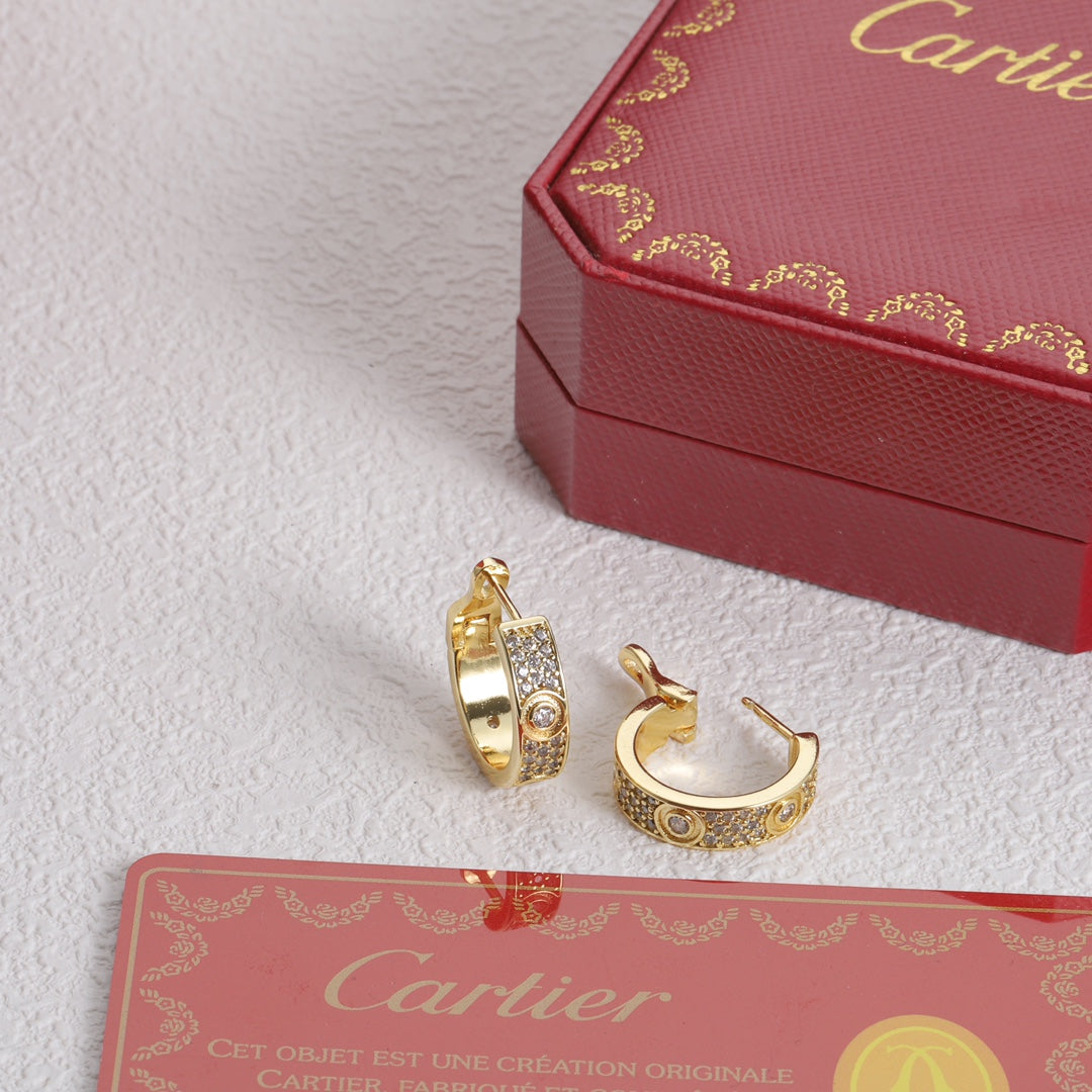 X1Y83K13E Popular    Earrings
