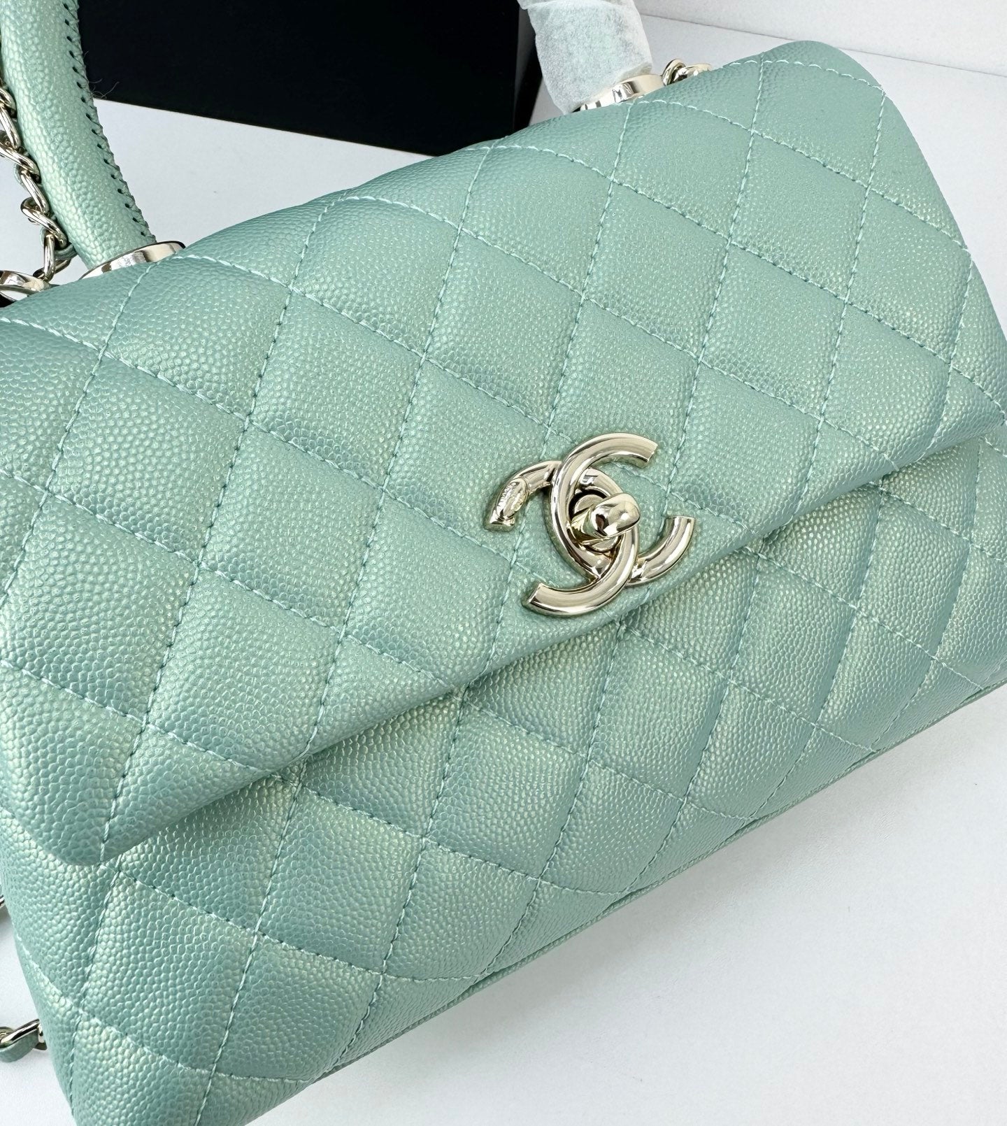 B1N55C26B Popular   Purse bags