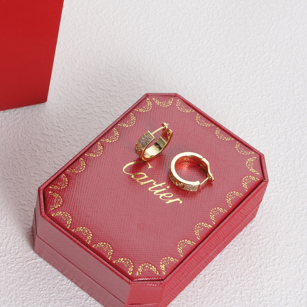 X1Y83K13E Popular    Earrings