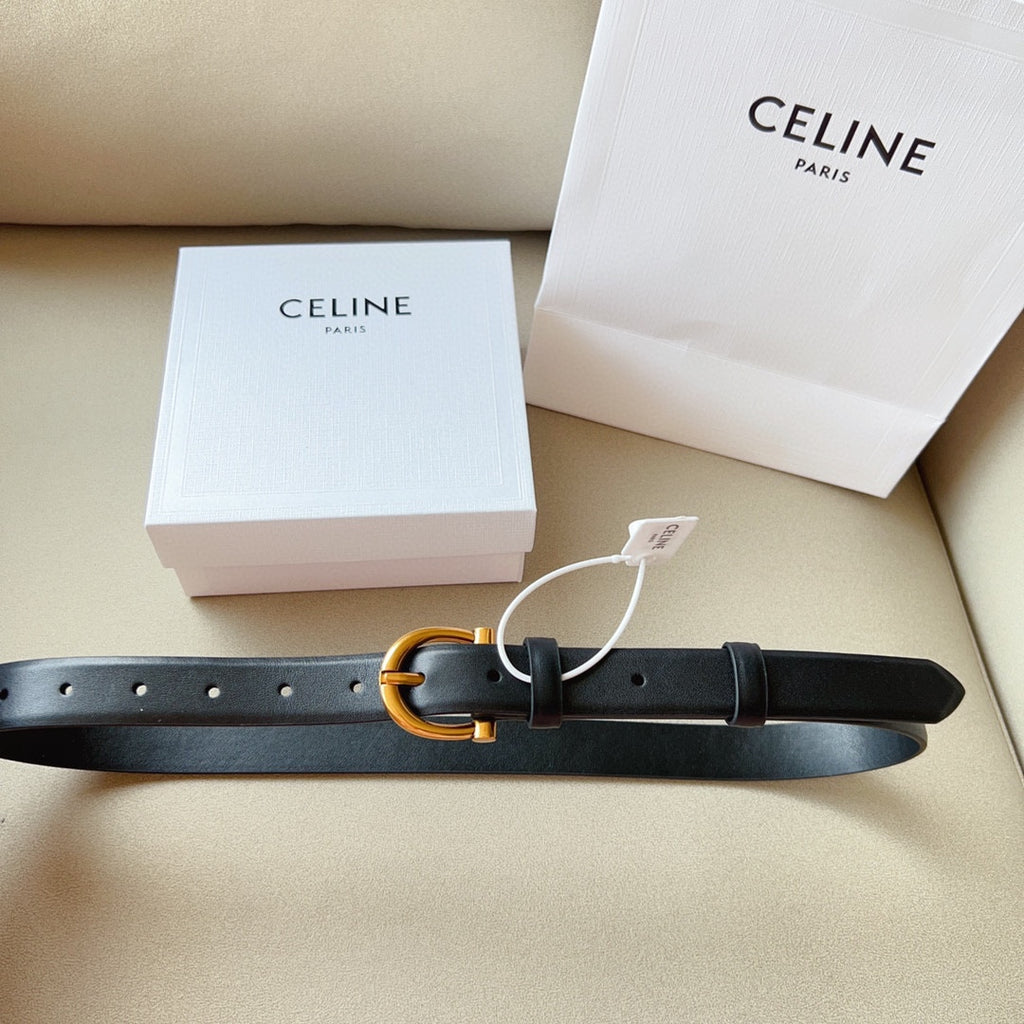 P1W15N178 Popular High quality belt With full package